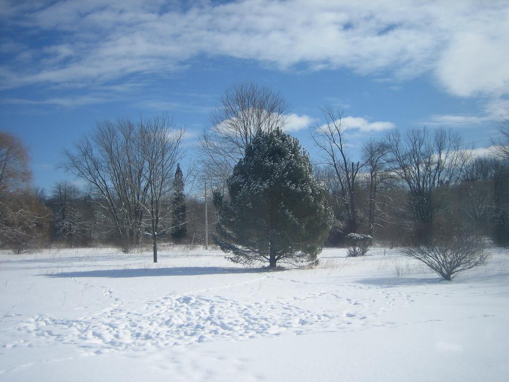 Harbert House Bed And Breakfast Exterior photo